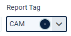 Recoveries_Report Tags_Clear.PNG